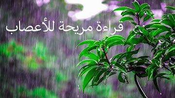 ساعة كاملة من اروع تلاوات القرآن للشيخ عبدالرحمن مسعد مع صوت المطر🌧️🌹تلاوة خاشعة تلامس شغاف القلب❤️