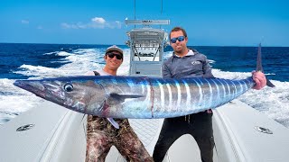 INSANE Wahoo Bite on Light Tackle.. We Couldn't BELIEVE Our Luck!