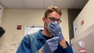 Lab 6 - gram + bacteria
