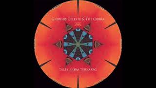 Giorgio Celeste & The Cobra - Plasma Leak (S.O.N.S 08TK-NS / Terkaarg Forges TK001)