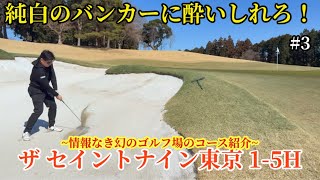 The Saint Nine Tokyo] Conquering the OUT Course Holes 1-5 | A