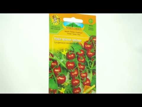 Video: Rybízové rajče – odrůdy rybízových rajčat pro pěstování v zahradě