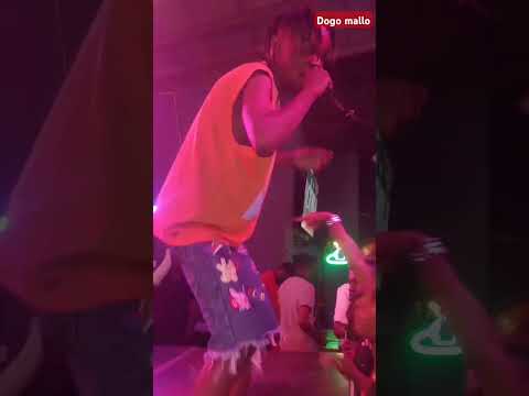 Dogo Mallo Shwolive Kenya Song Staki Mazoea 