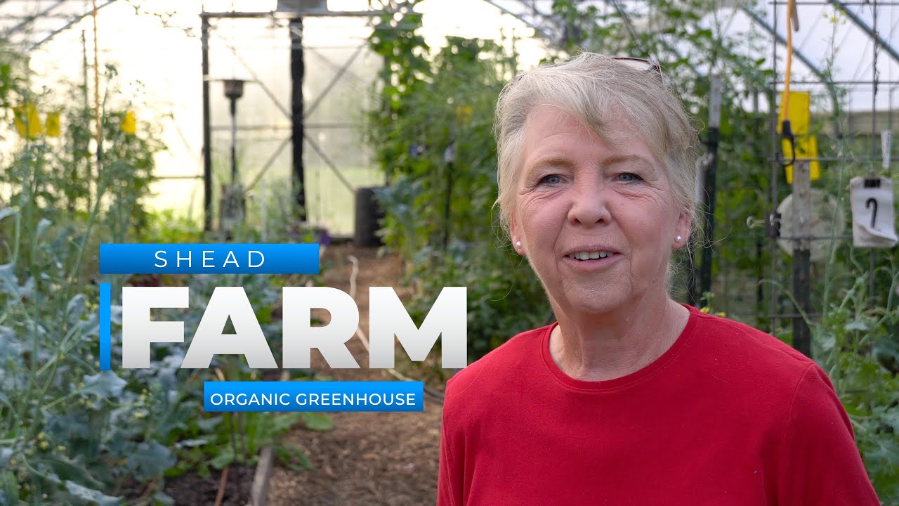 Organic Greenhouse - Shead Farm