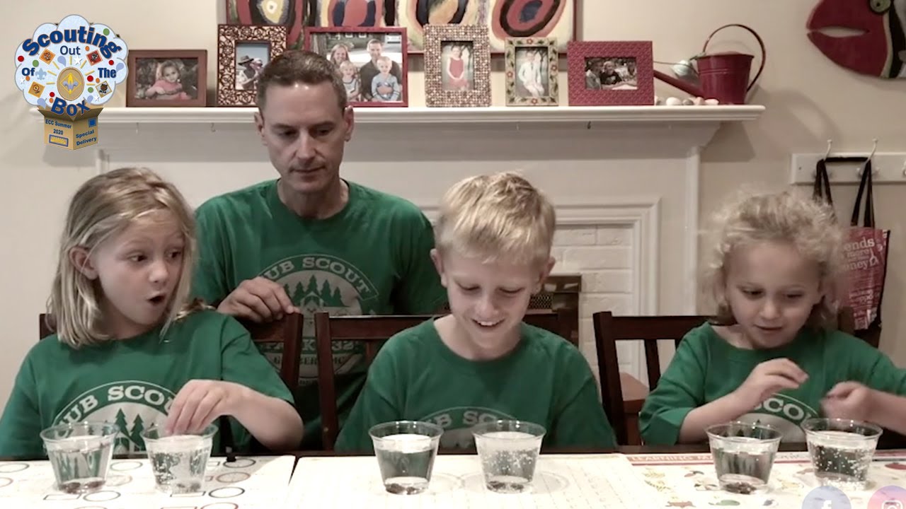 Dancing Raisins YouTube