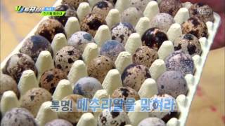 VJ 특공대 - 특종! 진기록 특공대. 20160422