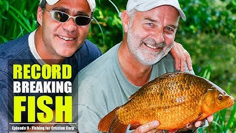 Matt Hayes | Mick Brown | Record Breaking Fish |Ep 9 | Fishing for Crucian Carp | Yateley Gravel Pit