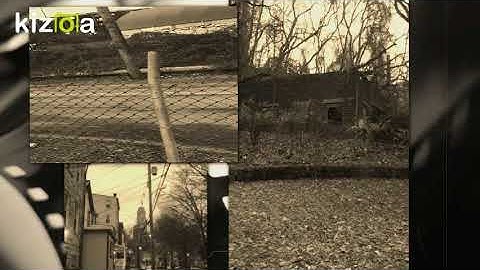 Kizoa Movie - Video - Slideshow Maker: 1 Minute Movie collage 2/13/18