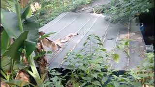 Tanah dijual lokasi di desa sumber suko kec Tajinan kab malang jatim wa 082315377598