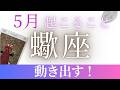 ５月【蠍座】〜動き出す✨〜恋愛強めです🌝