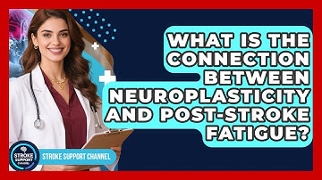 What Is The Connection Between Neuroplasticity And Post-stroke Fatigue? - Stroke Support Channel