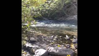 Hyalite River Basin Critical Shear Stress and Sinuosity