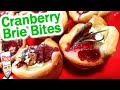 Cranberry Brie Pastry Bites Easy Holiday Treat Recipe 