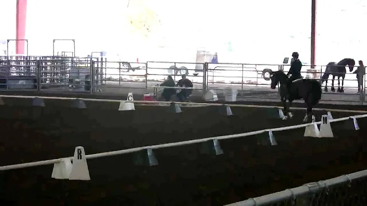 Ashleigh Rees & MCA Mimosa
