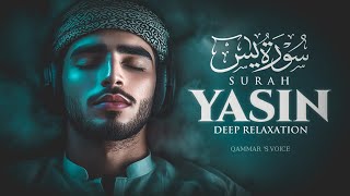 Surah Yaseen | Beautiful Tilawat  | سورة يس