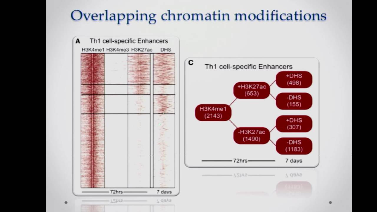 CCG 2015 Hawkins ChromatinState2 OverlappingDatasets