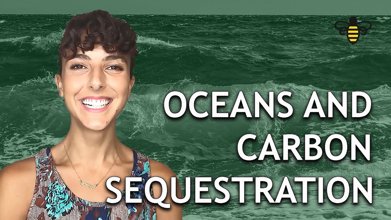 Oceans and Carbon Sequestration