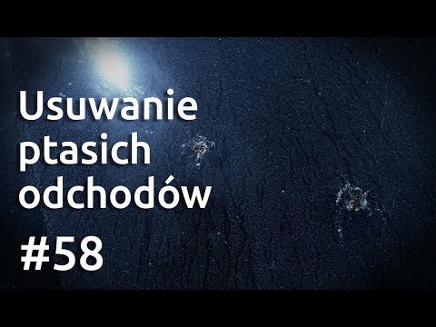 Wideo: Ptasie Odchody, Ogień I Inne Nieoczekiwane Sposoby Na Odmłodzenie