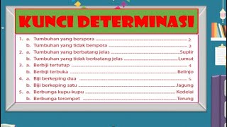 KUNCI DETERMINASI ATAU KUNCI DIKOTOM