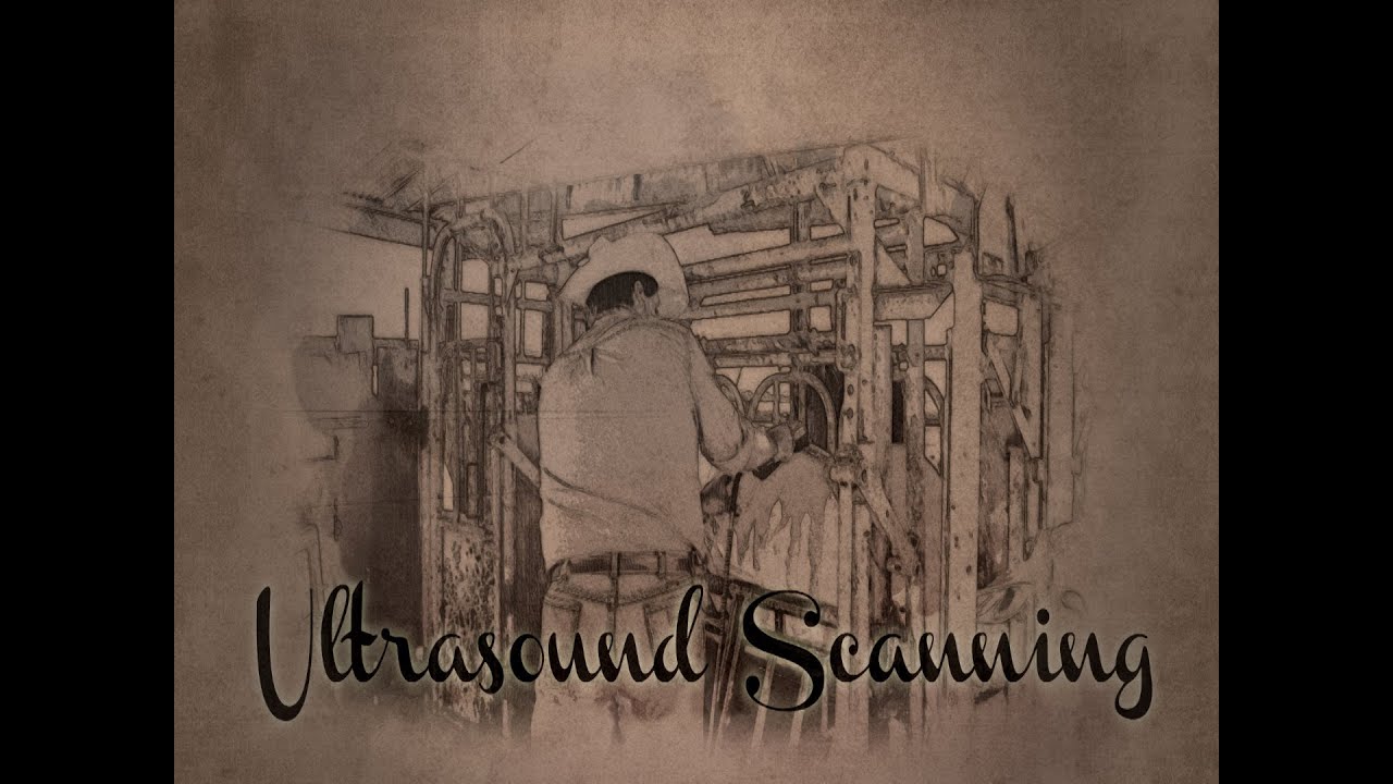 youtube-video-thumbnail