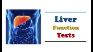 Clinical Chemistry 🔤 - Liver Function Tests