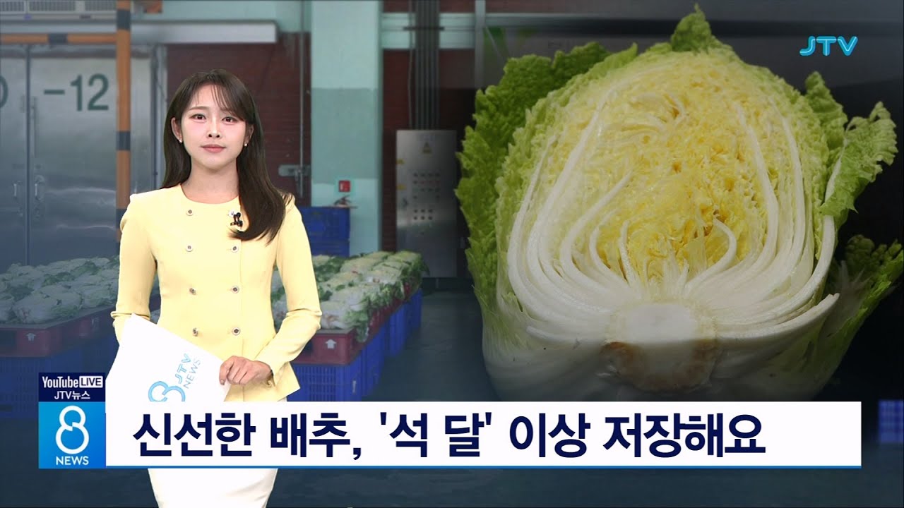 신선한 배추, '석 달' 이상 저장해요 YouTube
