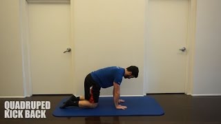 Quadruped Kickback