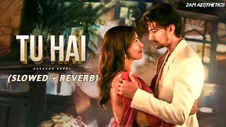 Tu Hai (Slowed + Reverb) | Darshan Raval, Prakriti Giri | 2Am Aesthetics