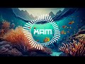 Ocean dreams  future bass  xam studio no copyright music