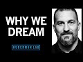 Understanding and using dreams to learn and to forget
