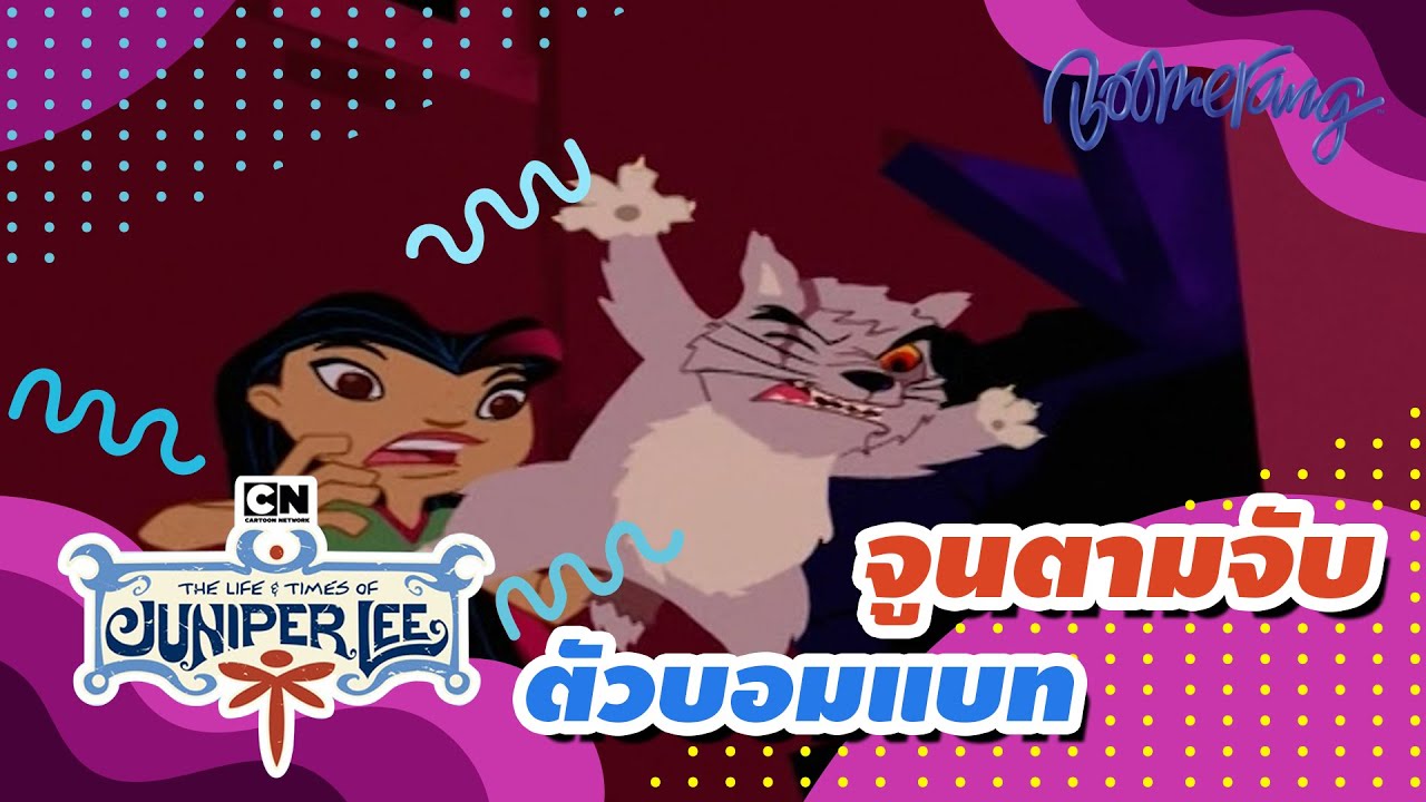 จูนตามจับตัวบอมแบท The Life and Times of Juniper Lee | Boomerang Classics