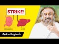 La formule contre le stress   questions et rponses avec gurudev