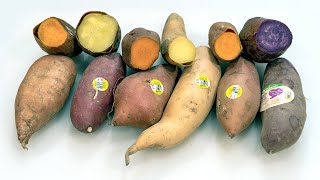 Produce Geek's Guide to Sweet Potatoes!