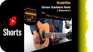 Sister Golden Hair 👱‍♀️ (Short Versión) - America / Guitar Cover / MusikMan