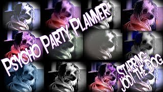Psycho Party Planner  (2020) Piper the Dog's Big Scene! Net Worth