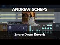 Andrew Scheps Snare Drum Reverb
