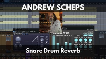Andrew Scheps Snare Drum Reverb