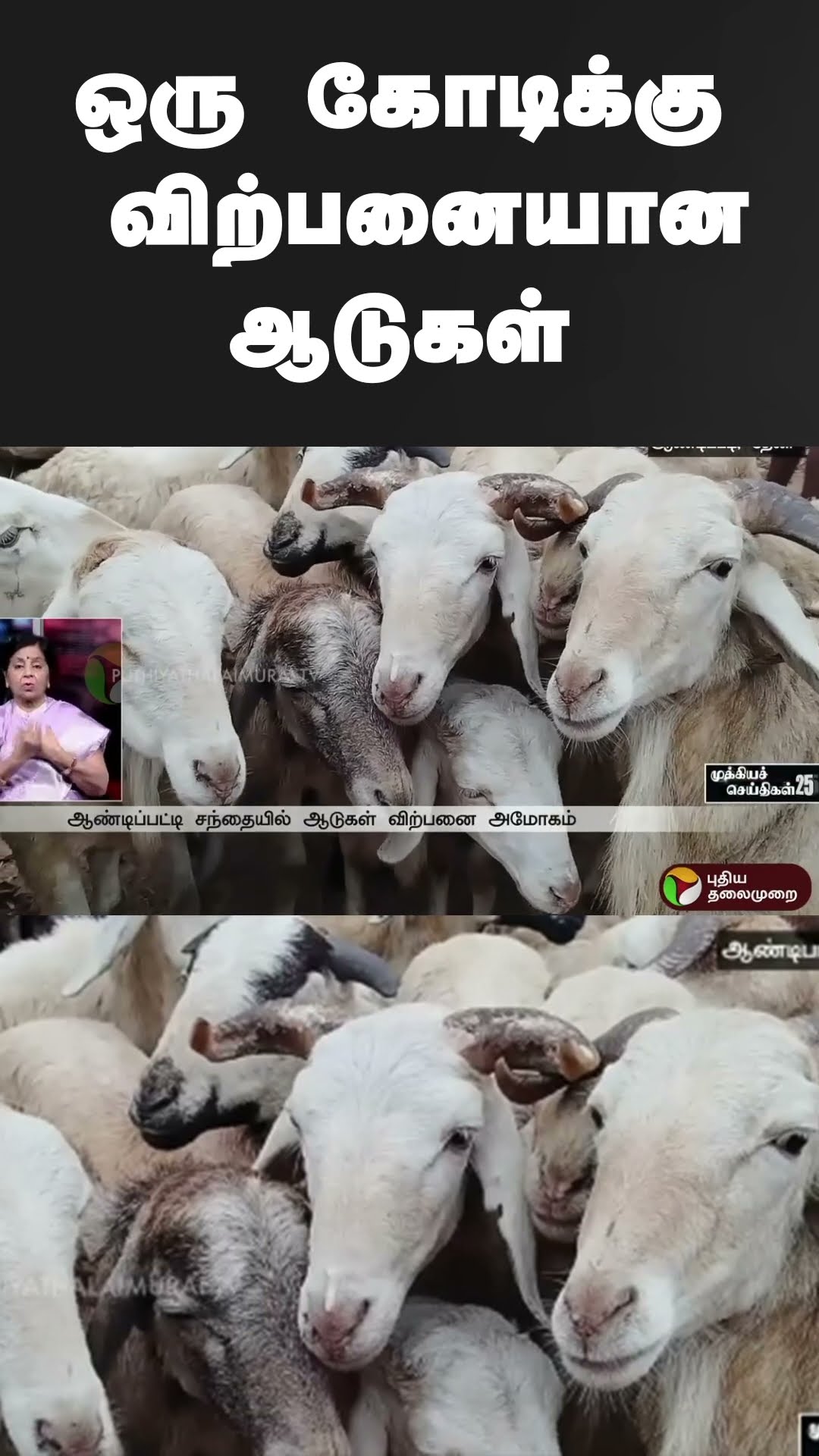 ஒரு கோடிக்கு விற்பனையான ஆடுகள் | #shorts | #theni | #goat
