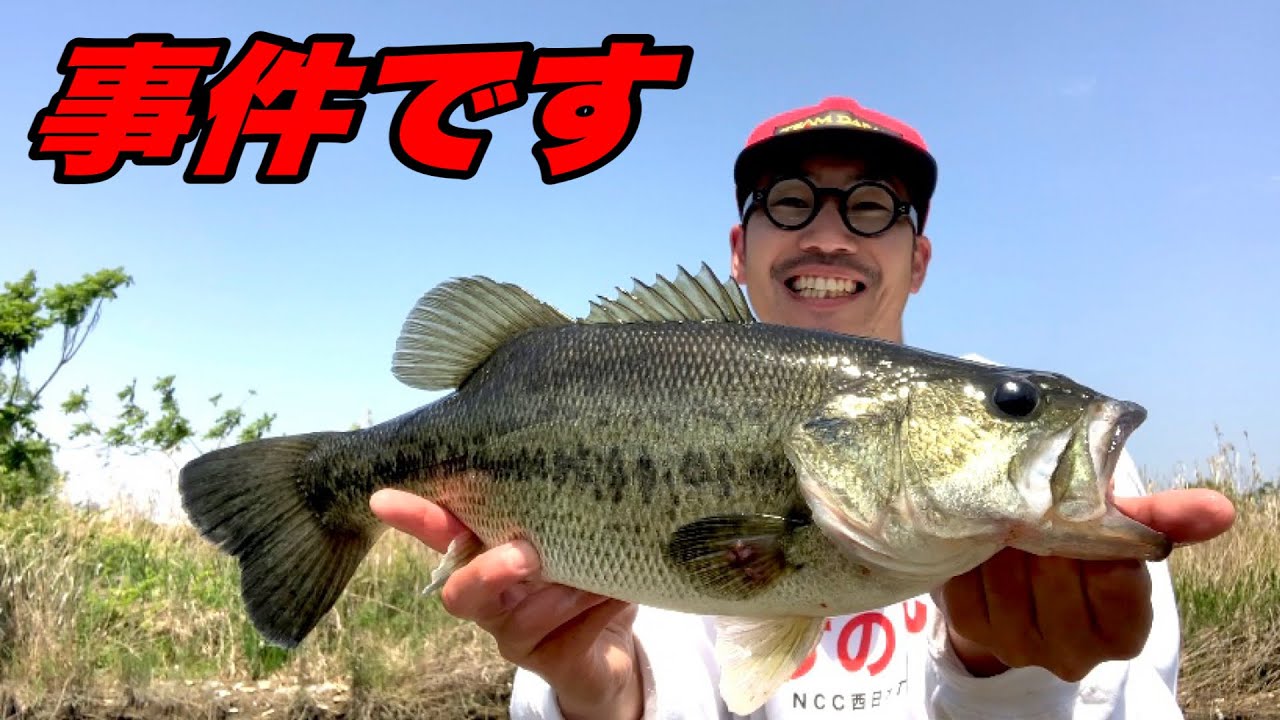 【バス釣り】スクーパーフロッグダディやばいって！