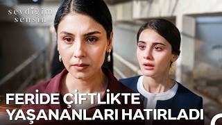 Yaşadığımı Yaşamanıza İzin Vermem - Sevdiğim Sensin 15. (Sezon Fi̇nali̇)