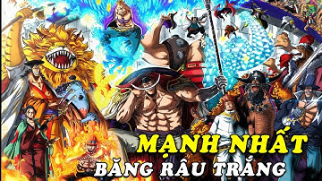 Top 8 người mạnh nhất trong băng hải tặc Râu Trắng