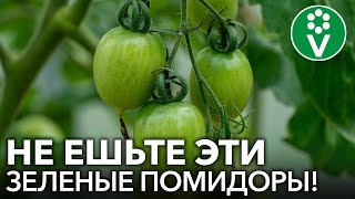 видео: НИ В КОЕМ СЛУЧАЕ НЕ ЕШЬТЕ ЭТИ ПОМИДОРЫ и не используйте их в закатках! картинка: НИ В КОЕМ СЛУЧАЕ НЕ ЕШЬТЕ ЭТИ ПОМИДОРЫ и не используйте их в закатках!