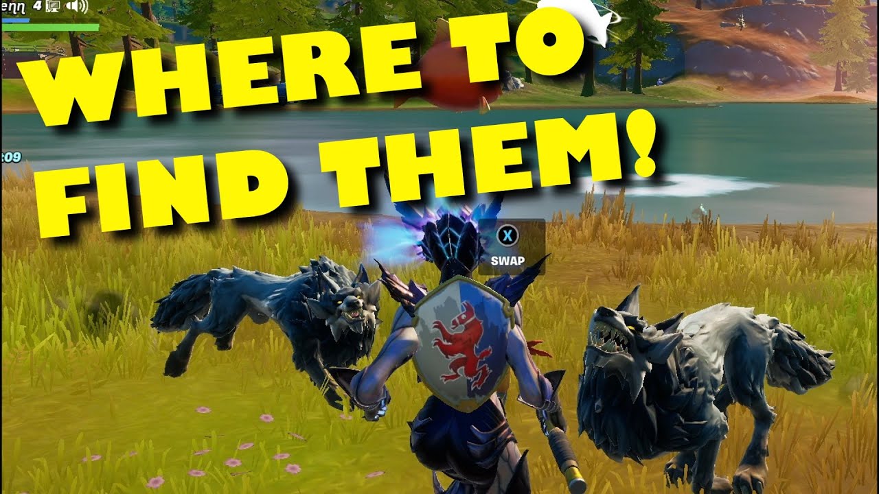 FORTNITE SEASON 6 HOW TO TAME A WOLF!