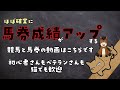 【競馬初心者は特に必見】誰でも簡単にできてほぼ確実に馬券成績が上がるレースの価値の判定と回収率200％超えの狙い方【馬券理論・馬券法】