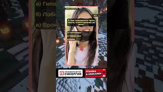 Почему наблюдение меняет реальность