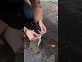 これらの輪ゴムハックは驚くほど便利です！💡