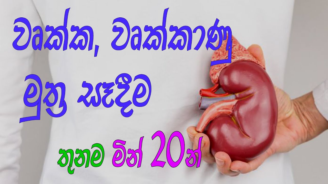 muthra sedima  මුත්‍රා සැදීම කෙටියෙන්  |Kidney,Structure of Nephron &  urine formation |Al