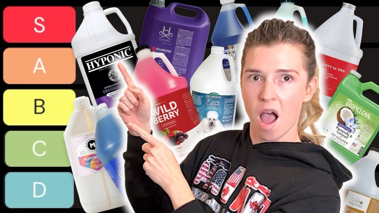 I Tested 16 Dog Shampoos So You Don’t Have To – Here’s the Best! — Go Fetch Grooming (video thumbnail)