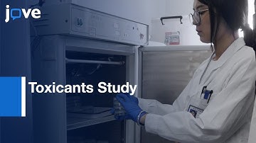Trans- and Multi-Generational Effects of Toxicants Study | Protocol Preview