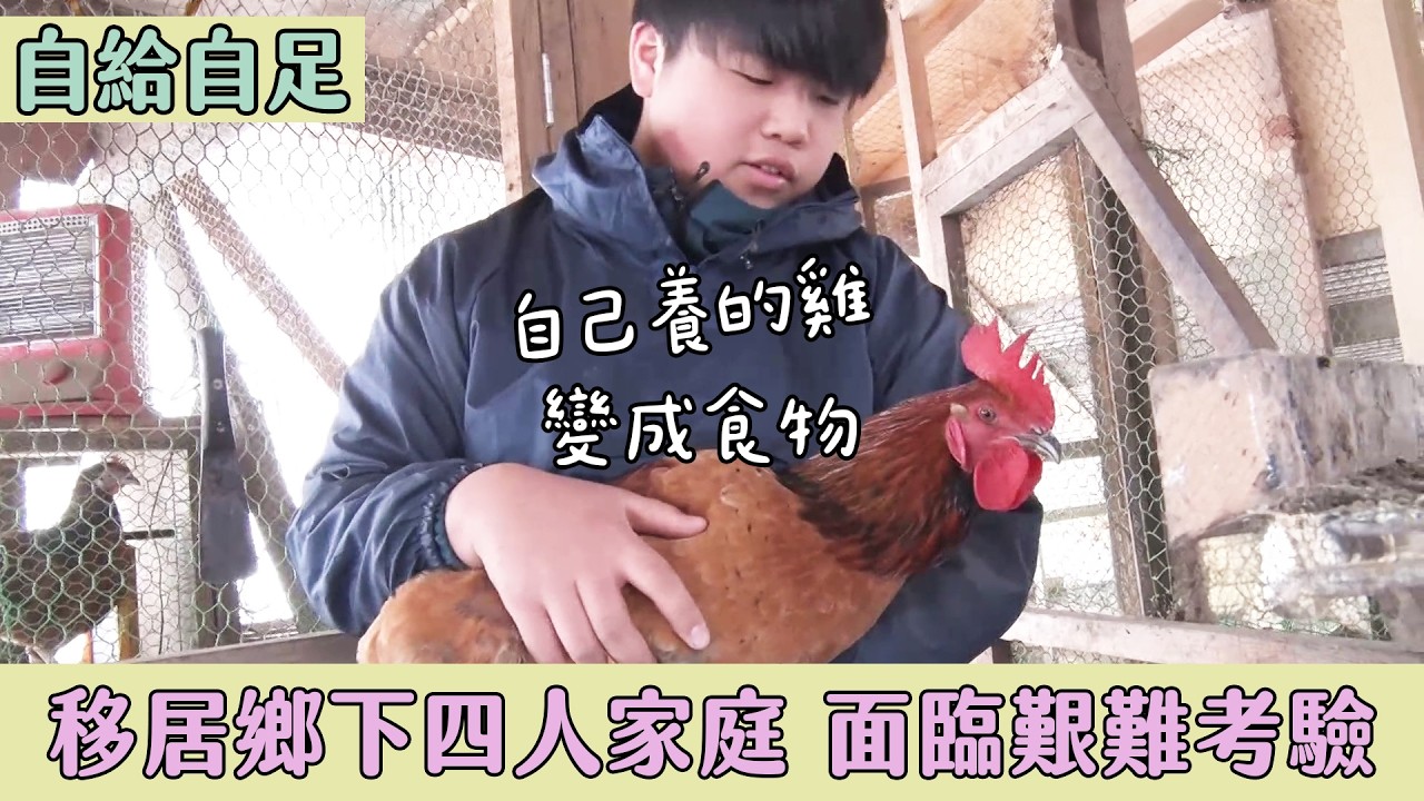 自己養的雞要變成食物了？自給自足家庭最艱難的考驗【自給自足鄉間生活好吃驚】｜緯來日本台 縮圖